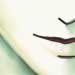 Dimictus, tuo lempiaiheeni, j�lleen. T�ll� kertaa hieman lyhyemmill� hiuksilla.